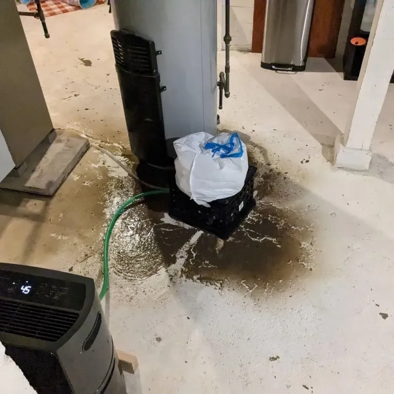 Sewage Backup Cleanup Service in Tipton, CA